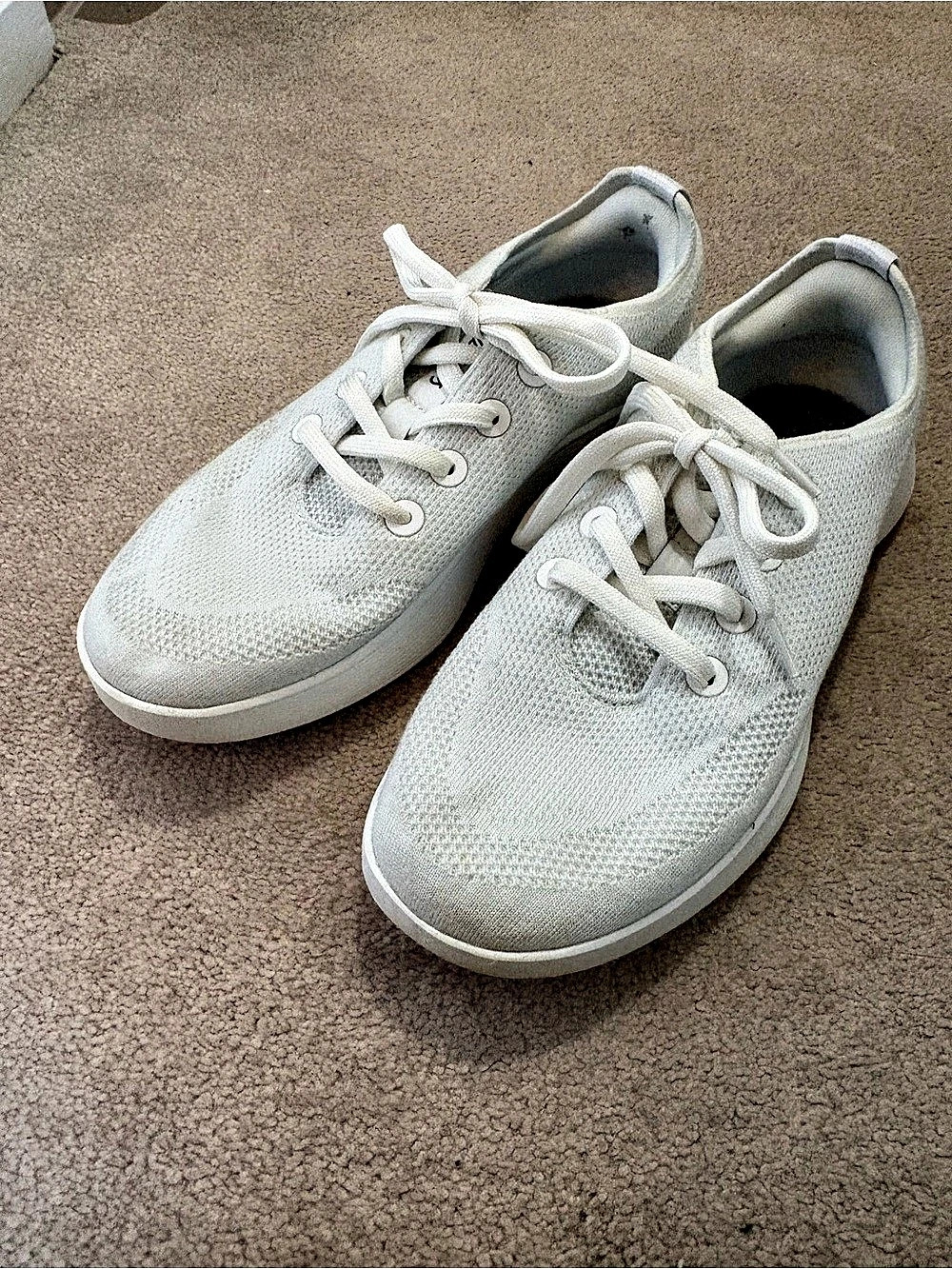 Allbirds Tree Runner White Sneakers